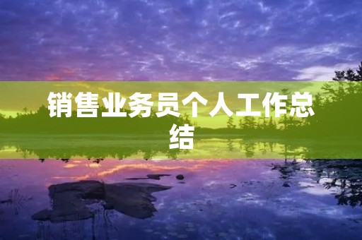 销售业务员个人工作总结(10篇)
