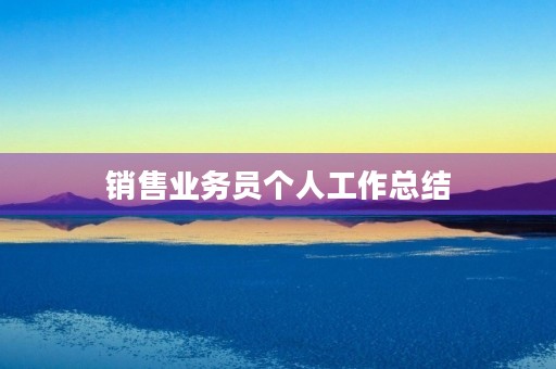 销售业务员个人工作总结