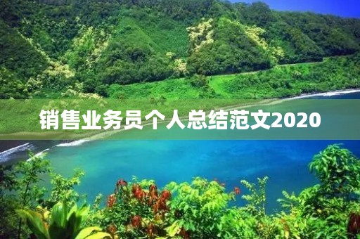销售业务员个人总结范文2020