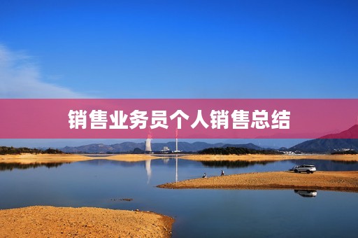 销售业务员个人销售总结