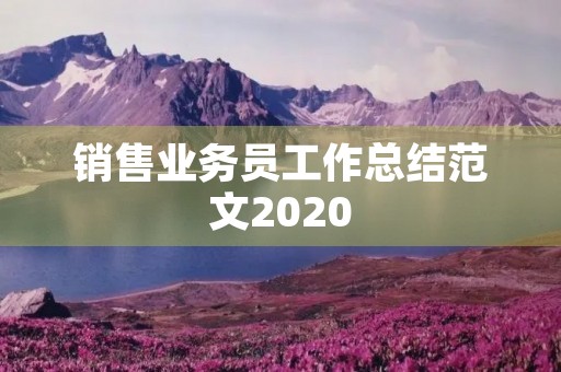 销售业务员工作总结范文2020