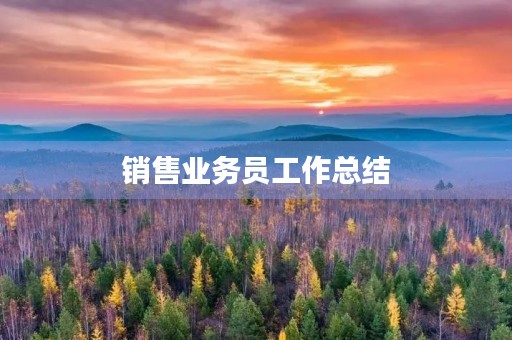 销售业务员工作总结