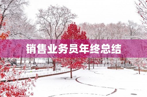 销售业务员年终总结