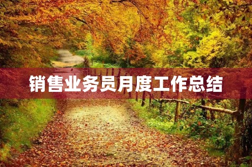 销售业务员月度工作总结