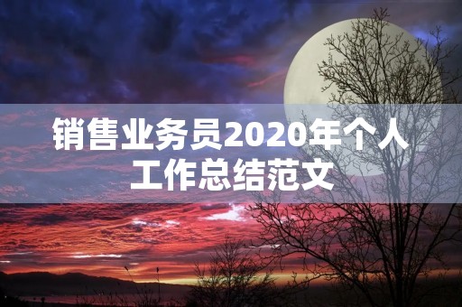 销售业务员2020年个人工作总结范文