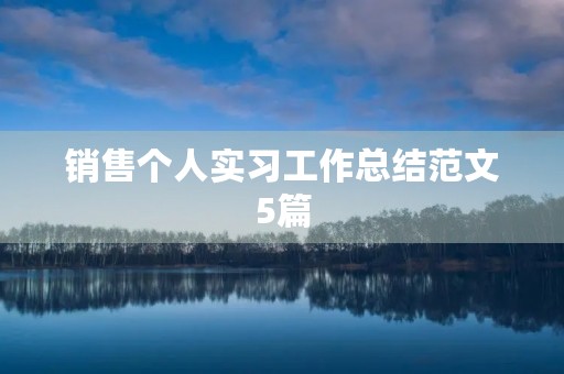 销售个人实习工作总结范文5篇