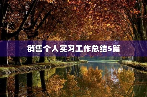 销售个人实习工作总结5篇