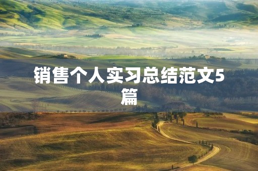 销售个人实习总结范文5篇