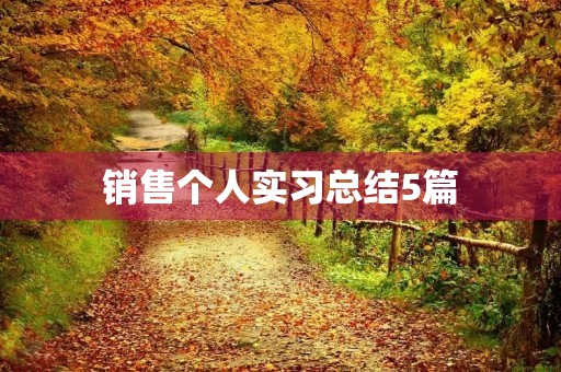 销售个人实习总结5篇 销售个人实习总结5篇