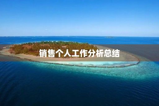 销售个人工作分析总结(10篇)