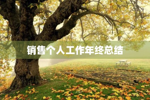 销售个人工作年终总结
