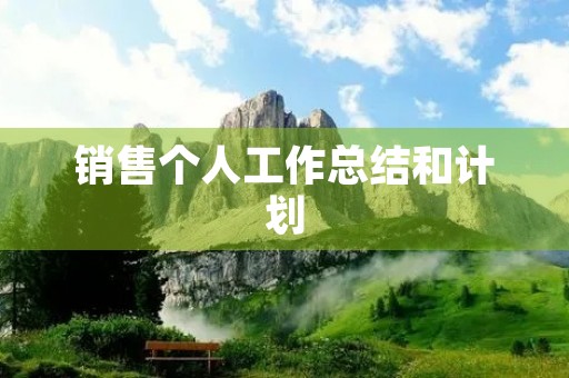 销售个人工作总结和计划【10篇】