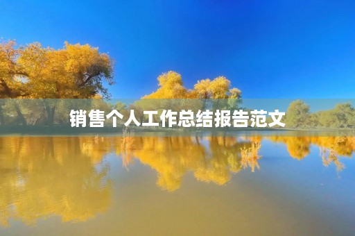销售个人工作总结报告范文