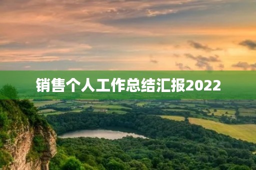 销售个人工作总结汇报2022