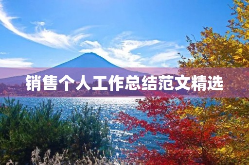 销售个人工作总结范文精选