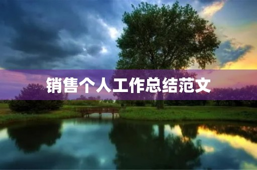 销售个人工作总结范文