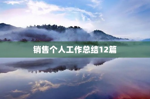 销售个人工作总结12篇