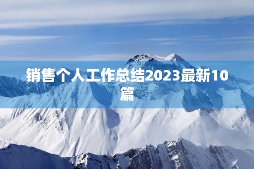 销售个人工作总结2023最新10篇