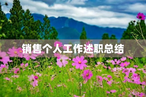 销售个人工作述职总结(10篇)