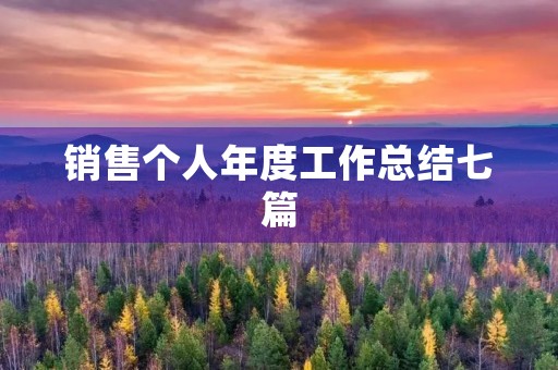 销售个人年度工作总结七篇