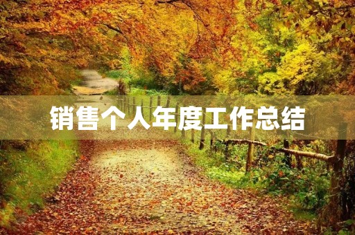 销售个人年度工作总结（11篇）