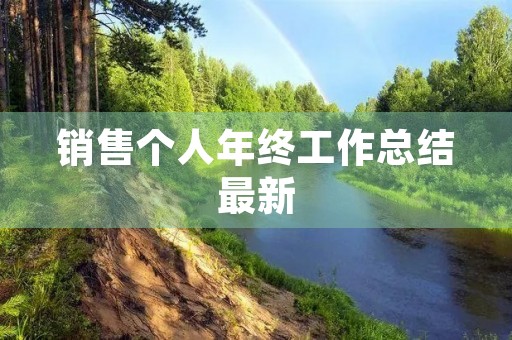 销售个人年终工作总结最新