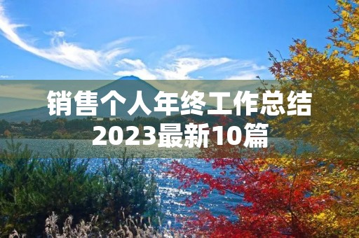 销售个人年终工作总结2023最新10篇