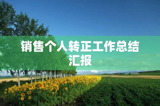 销售个人转正工作总结汇报(16篇)