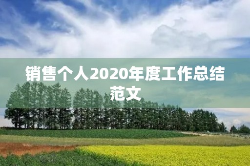 销售个人2020年度工作总结范文