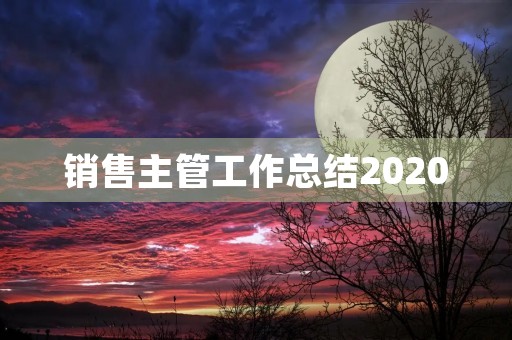 销售主管工作总结2020