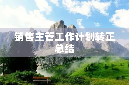销售主管工作计划转正总结