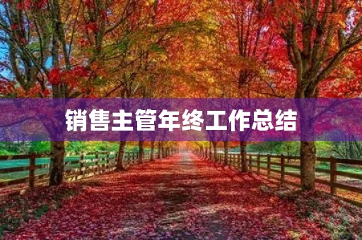 销售主管年终工作总结