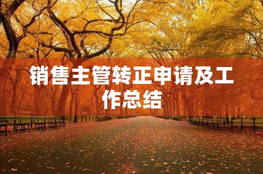 销售主管转正申请及工作总结