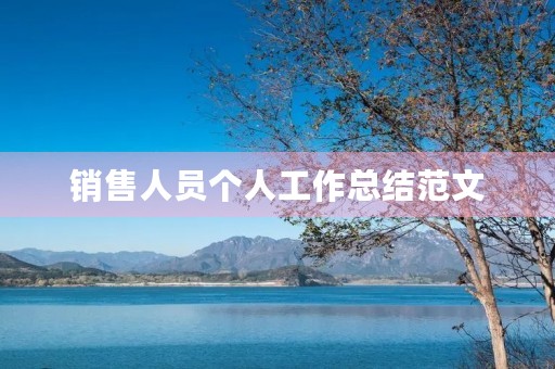 销售人员个人工作总结范文