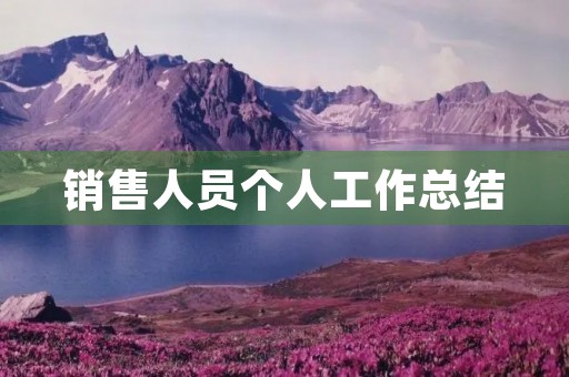 销售人员个人工作总结