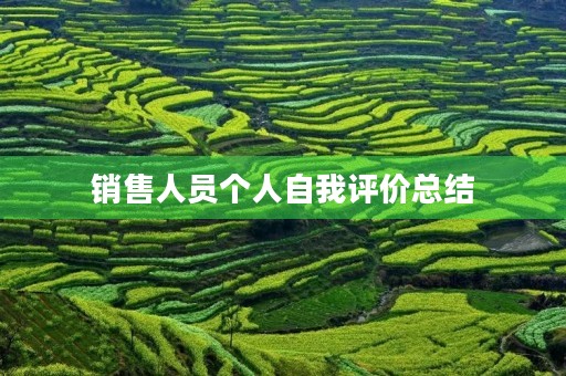 销售人员个人自我评价总结