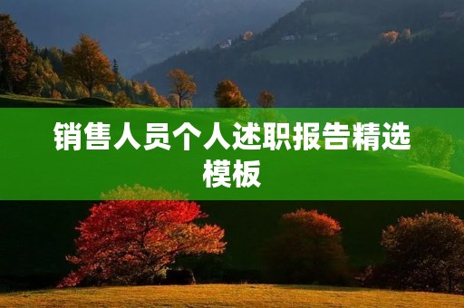 销售人员个人述职报告精选模板