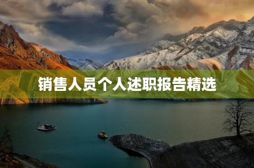 销售人员个人述职报告精选（10篇）
