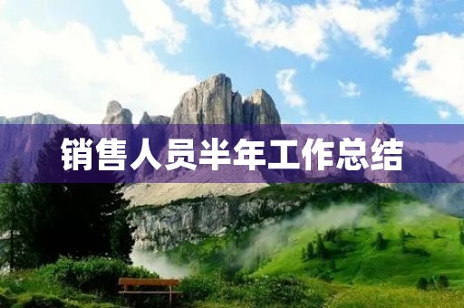 销售人员半年工作总结