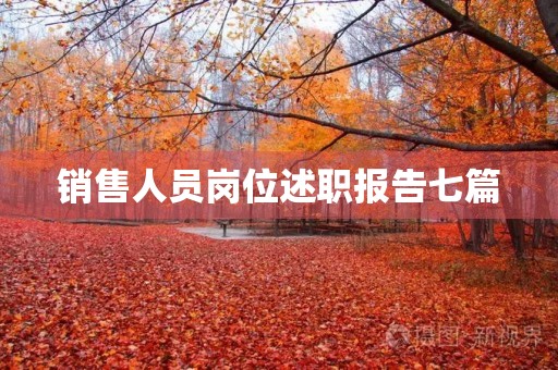 销售人员岗位述职报告七篇（范文）