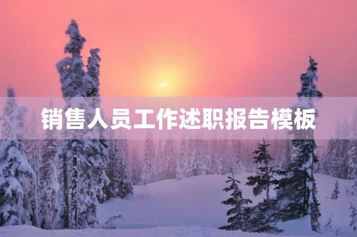 销售人员工作述职报告模板