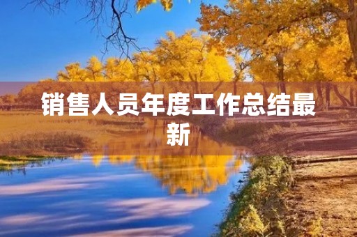 销售人员年度工作总结最新
