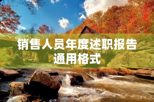 销售人员年度述职报告通用格式