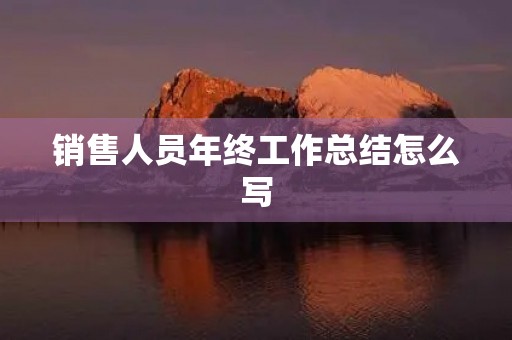 销售人员年终工作总结怎么写