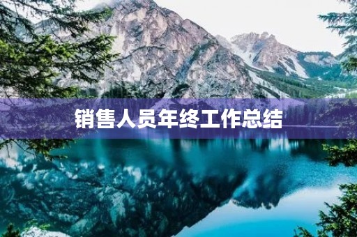 销售人员年终工作总结(七篇实用)