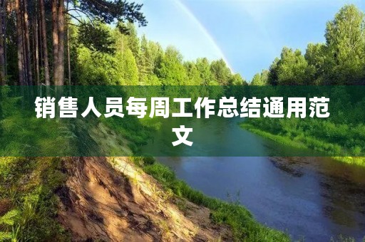 销售人员每周工作总结通用范文