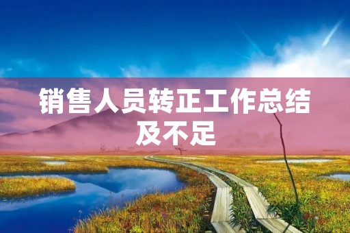 销售人员转正工作总结及不足(12篇)