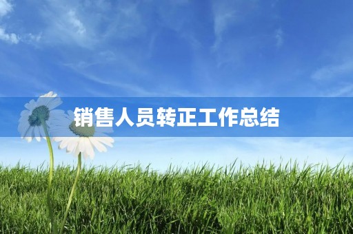 销售人员转正工作总结