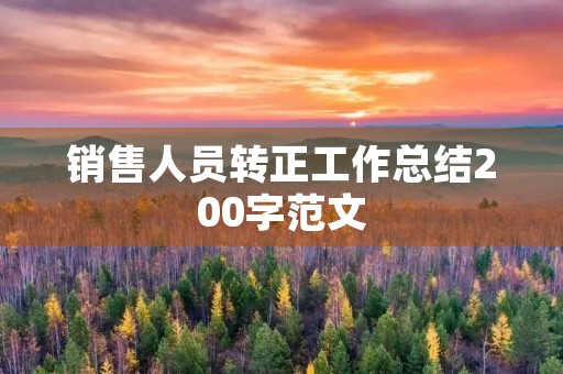 销售人员转正工作总结200字范文