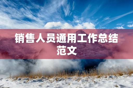 销售人员通用工作总结范文